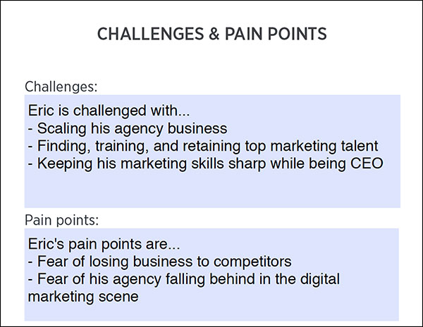 Customer Avatar Worksheet: Challenges and Pain Points