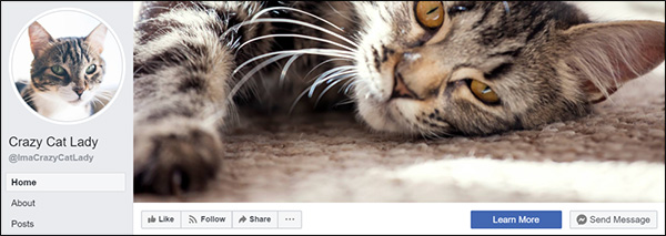 Cat Lady Facebook page