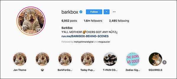 BarkBox's Instagram page taken over by squirrels