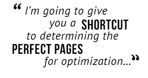 I'm going to give you a shortcut to determining the perfect pages for optimization..."