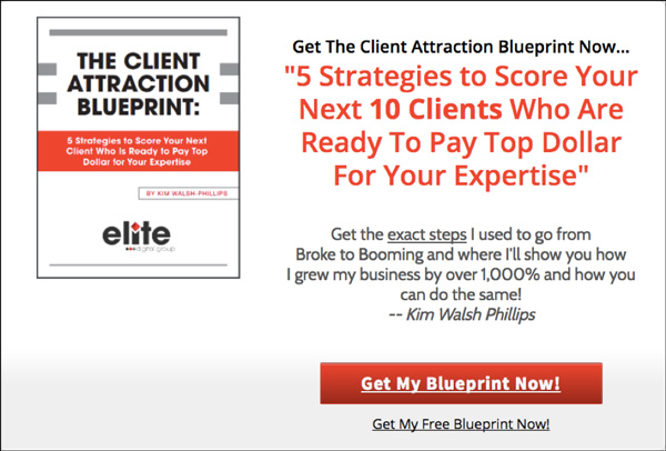 “Client Attraction Blueprint” landing page