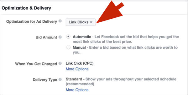 Optimize your ad delivery for link clicks, not conversions.