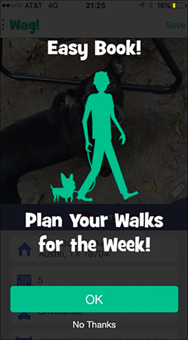 Book a week of walks with Wag!