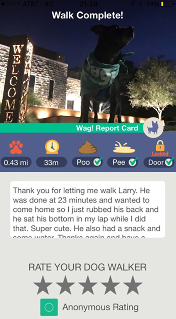 Wag! report card of the walk