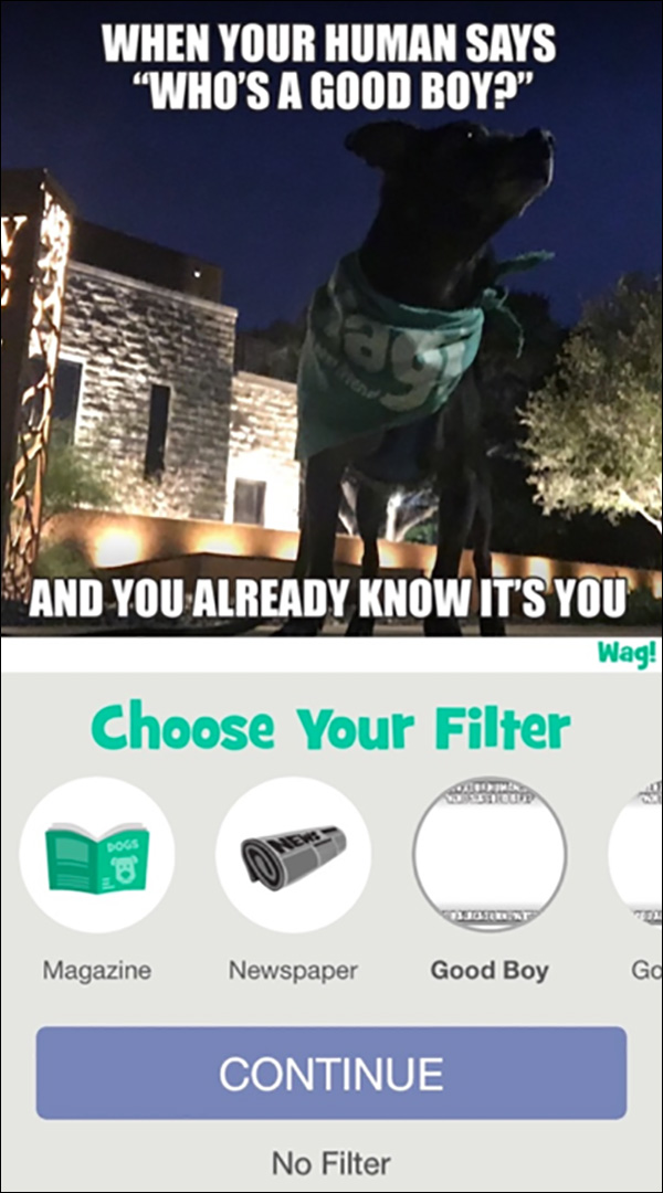 Filters you can use in the Wag! app