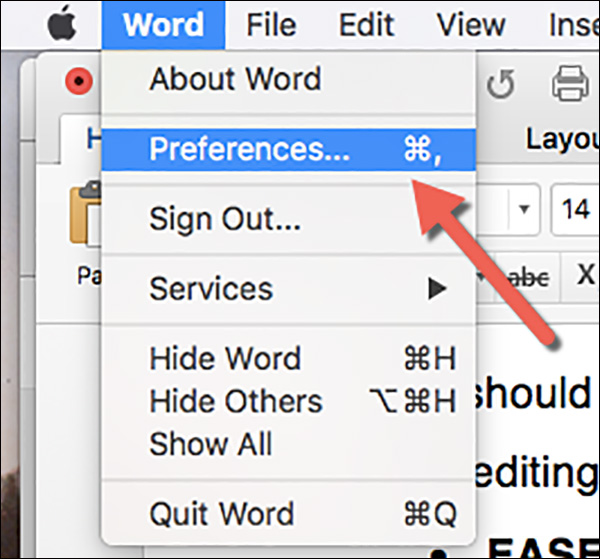 Click on the Word drop-down menu and then click on Preferences