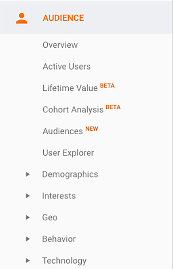 The Audience Menu in Google Analytics 