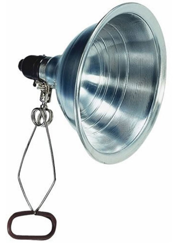 An example of a clamp light