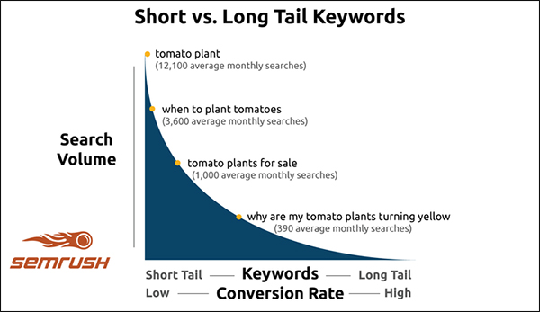 image explaining what long-tail keywords are