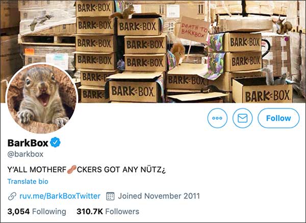 BarkBox's Twitter account taken over by squirrels