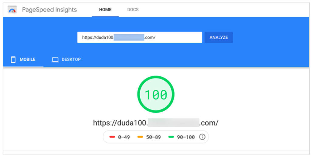PageSpeed Insight for a site built with Duda with a score of 100