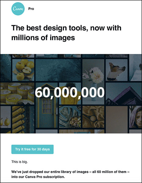Canva broadcast email example